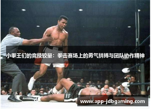 小拳王们的竞技较量：拳击赛场上的勇气拼搏与团队协作精神